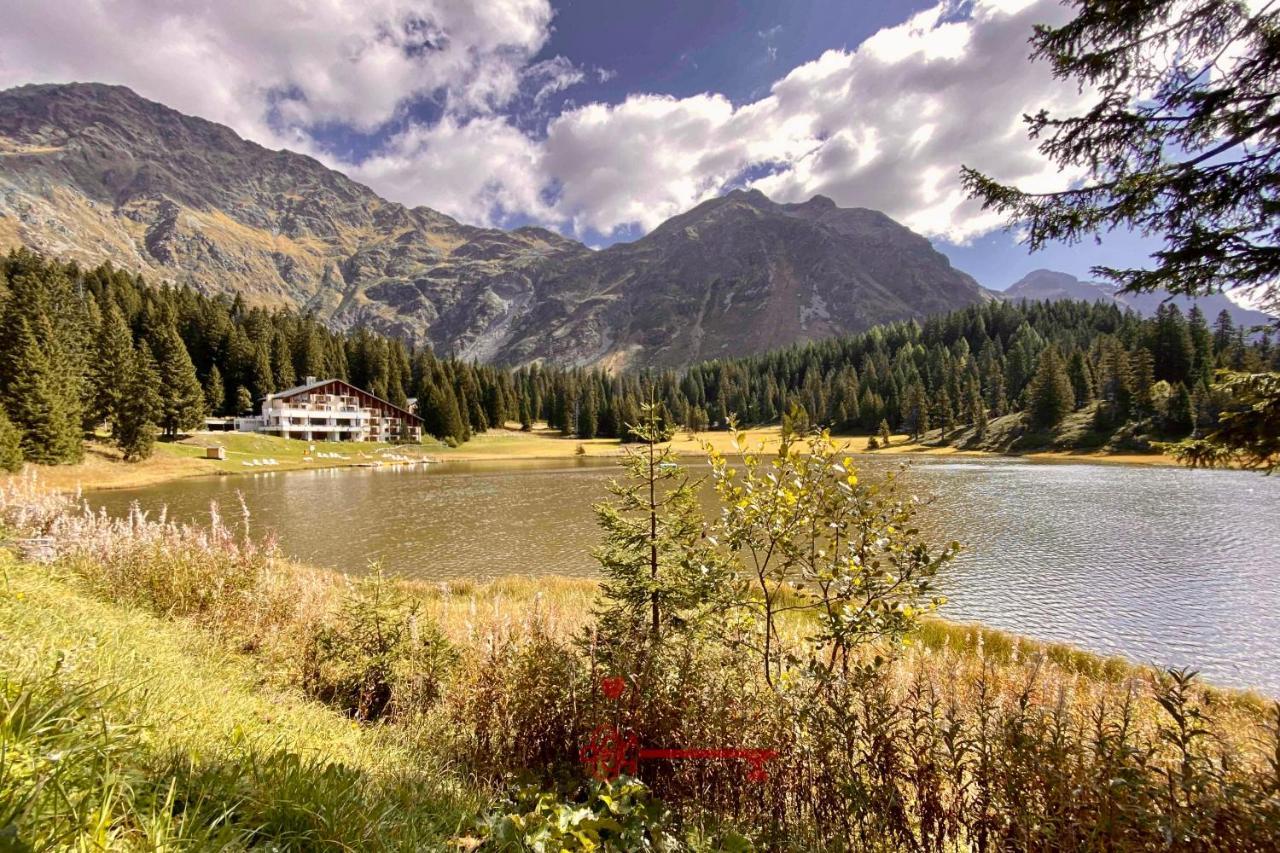 Chalet 5 Stars In San Bernardino, Ski Slopes And Hiking, Fireplace, 4 Snowtubes Free, Wi-Fi Free, For 8 Persons, Wonderful In All Seasons -By Easylife Swiss المظهر الخارجي الصورة